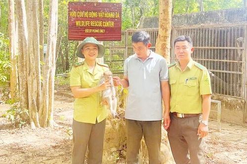 Vườn Quốc gia Chư Mom Ray tiếp nhận cá thể khỉ quý hiếm gặp nạn