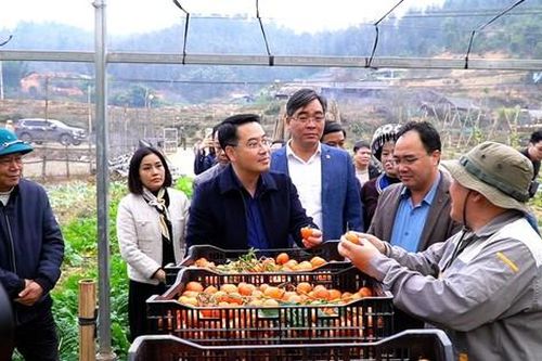 Yên Bái bứt tốc, tăng trưởng chạm ngưỡng 2 con số