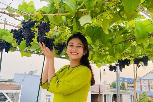 Vườn rau sum sê, nho trĩu trái trên sân thượng 80m2 ở Đồng Nai