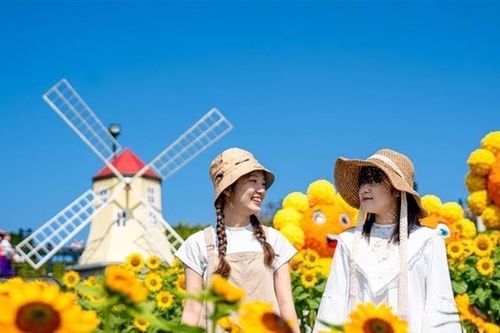 Lạc bước giữa 'biển vàng' rực rỡ tại Lễ hội Hoa Mặt trời trên đỉnh Bà Nà