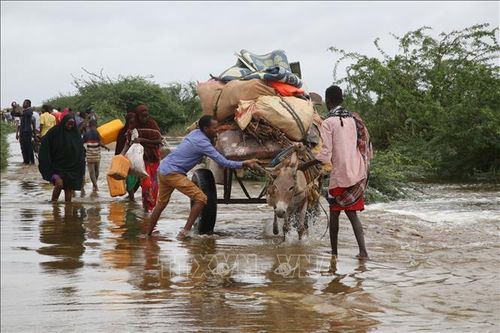 Trên 4,6 triệu người tại Somalia đang trong tình trạng đói nghèo