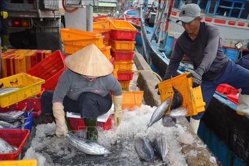 Các tổ, đội đoàn kết sản xuất trên biển giúp ngư dân phát triển kinh tế bền vững