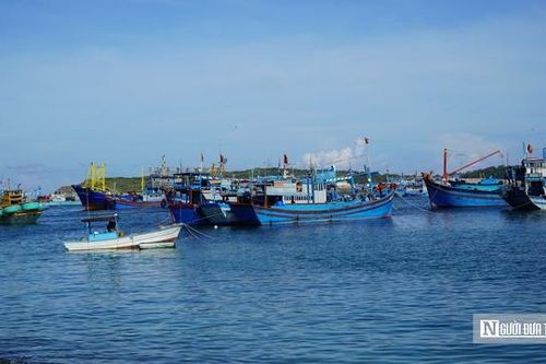 Tàu chở 22 ngư dân chìm trên vùng biển đảo Phú Quý