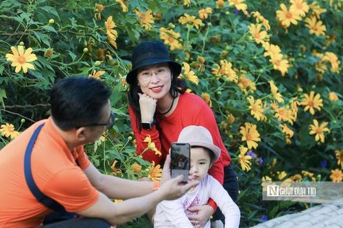 Biến mùa hoa thành 'mùa vàng' du lịch