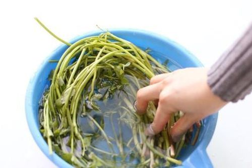 2 loại rau dễ 'ngậm' thuốc sâu, nhất là cái số 1