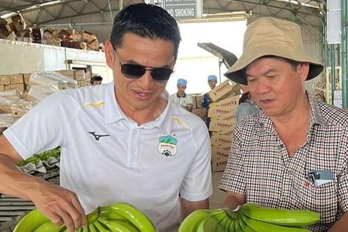 Cổ phiếu của HAGL vẫn bị cảnh báo vì lỗ lũy kế
