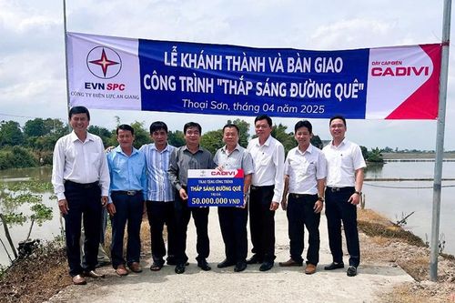 Bàn giao công trình 'Thắp sáng đường quê' năm 2025