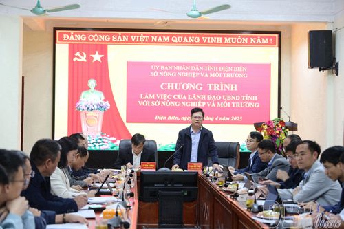 Lãnh đạo UBND tỉnh làm việc với Sở Nông nghiệp và Môi trường