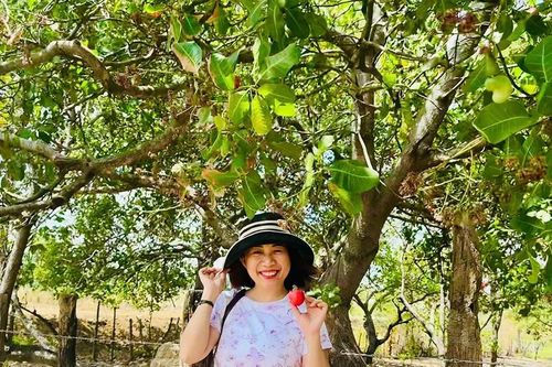 Mùa điều nơi biên viễn