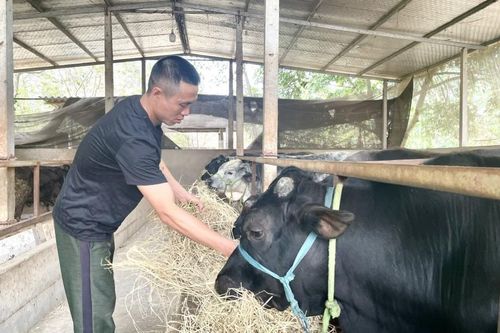 Quyết Thắng: Phát triển đa dạng mô hình sản xuất nông nghiệp hiệu quả