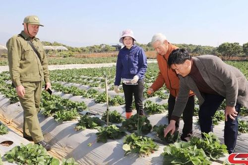 Đảng bộ xã Cò Nòi học tập và làm theo Bác