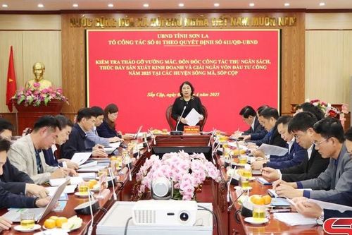 Đẩy mạnh thu ngân sách và giải ngân vốn đầu tư công