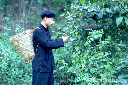 Người trẻ rời phố về quê