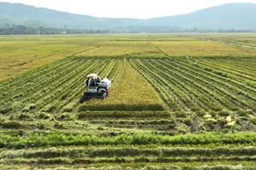 Thúc đẩy tăng trưởng nông lâm thủy sản đạt trên 3,5%