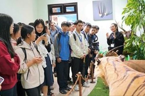 Hơn 2.000 lượt khách đăng ký tham quan Bảo tàng Thiên nhiên Duyên hải miền Trung