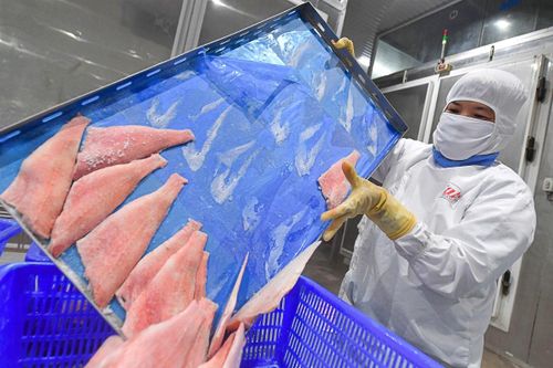 Thủy sản Vĩnh Hoàn (VHC): Mục tiêu lãi năm nay tăng 22%, chi hơn 800 tỷ đồng cho loạt dự án
