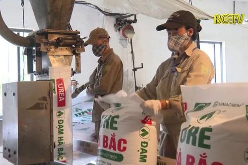 Đạm Hà Bắc: Lợi nhuận 'bốc hơi' 99%, lỗ lũy kế hơn 2.100 tỷ, Cổ phiếu DHB trong diện cảnh báo do vướng mắc từ dự án mở rộng nhà máy