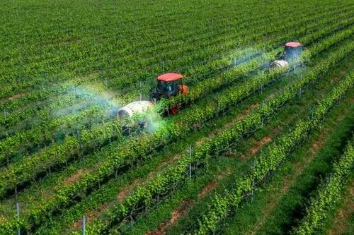Giảm phát thải trong sản xuất nông nghiệp
