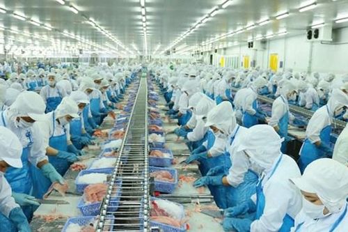 Vĩnh Hoàn (VHC) lên kế hoạch doanh thu 2025 kỷ lục, đạt 13.800 tỷ đồng