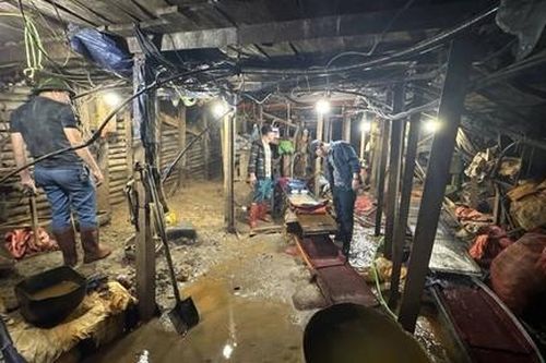 Triệt phá đường dây tàng trữ, mua bán chất độc và vật liệu nổ quy mô lớn
