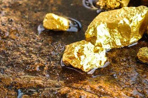 Việt Nam có những mỏ vàng nào?