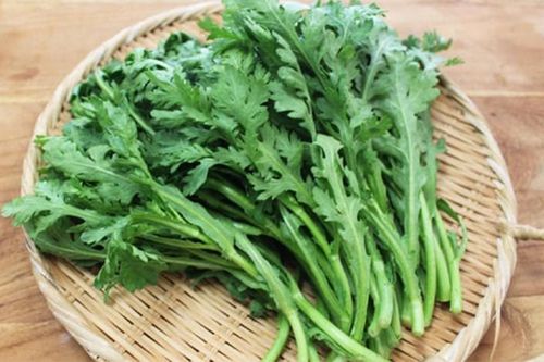Những ai không nên ăn rau cải cúc?