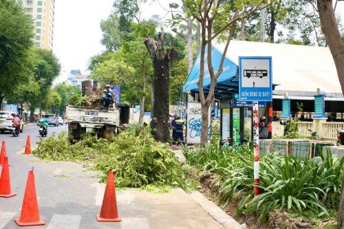 Bí thư TP.HCM truy việc thu phí đỗ ô tô dưới lòng đường lỗ hơn 2 tỷ đồng