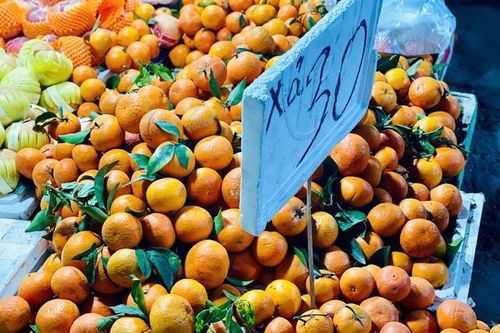 Thực hư về xuất xứ của loại quýt sim đang bán đầy thị trường với giá siêu rẻ, chỉ từ vài ngàn đồng/kg