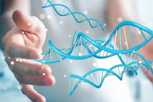Hội chứng Rett: Nguyên nhân, biểu hiện, cách điều trị và phòng bệnh