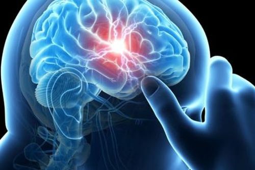 Bệnh Prion: Hiểm họa âm thầm đối với con người và động vật
