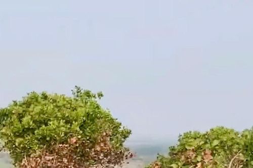 Huyện Ea Súp, Đắk Lắk: Thu hồi 742 ha đất lâm nghiệp bị lấn chiếm trái phép