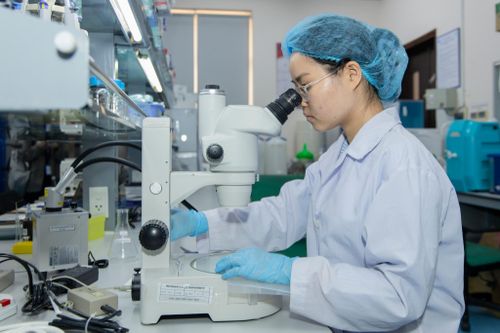 Trường Việt Nam đón đại diện Mỹ, ngỏ ý hợp tác, cấp học bổng sinh viên