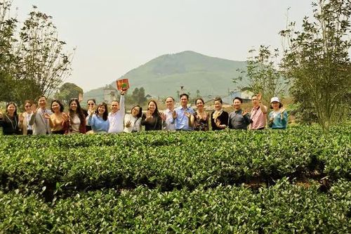 Phát triển du lịch xanh, 'bệ đỡ' thu hút khách bền vững