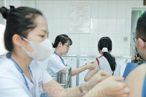 Hà Nội bảo đảm cung ứng đầy đủ thuốc phòng, chống dịch trong giai đoạn giao mùa