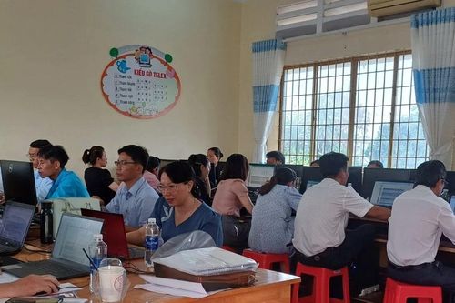 15 tỉnh, thành phố tham gia khảo sát Chương trình TALIS Chu kỳ 2024