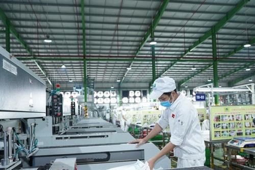 An Phát Holdings (APH) đặt kế hoạch lãi 2025 giảm một nửa, doanh thu dự kiến 'bốc hơi' 35%