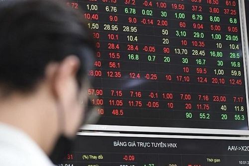 Hơn 200 mã giảm kịch sàn, VN-Index bốc hơi 82 điểm