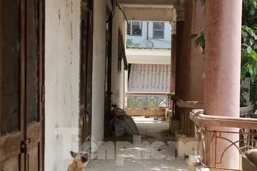 Xót xa công sở trên đất 'vàng' ở TP. Hòa Bình bị bỏ hoang nhiều năm