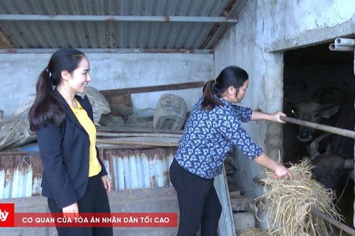 Từ khó khăn đến thịnh vượng: Hành trình thay đổi nhờ nguồn vốn chính sách