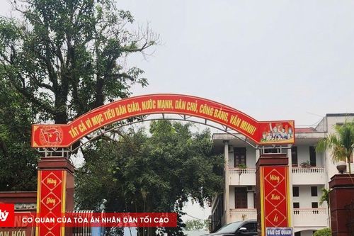 Chủ tịch huyện lên tiếng về vụ Hiệu trưởng nói giáo viên là 'gái bao'