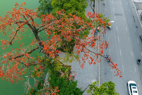 Dự báo thời tiết 3/4/2025: Miền Bắc rét cuối mùa, trưa hửng nắng