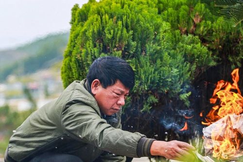 Ngày, giờ đẹp cúng tết Thanh minh 2025 theo chuyên gia phong thủy
