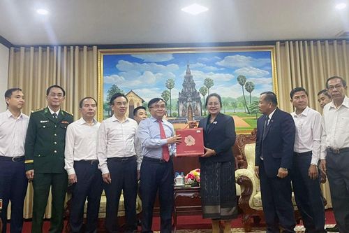Các đoàn công tác tỉnh Nghệ An thăm và chúc Tết Bunpimay các tỉnh CHDCND Lào