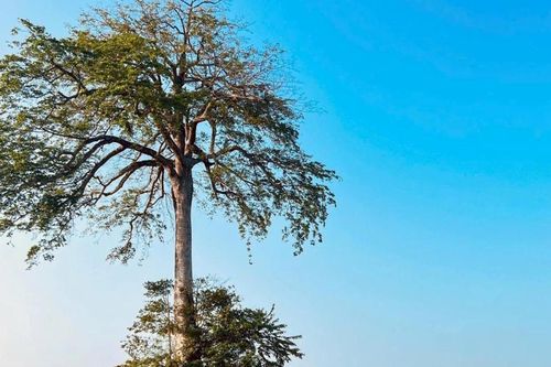 Những điểm đến lý tưởng tại Nghệ An cho kỳ nghỉ ngắn ngày dịp Giỗ Tổ Hùng Vương