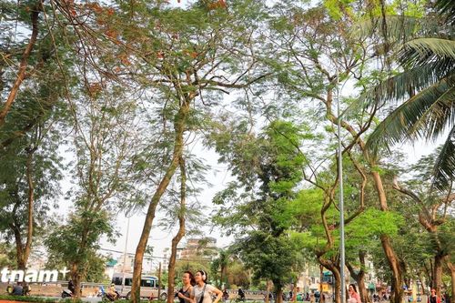 Người dân Thủ đô phấn khởi khi các công viên dỡ rào, tạo không gian mở