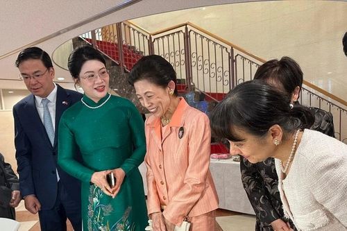 'Ngoại giao hoa' thúc đẩy tình hữu nghị Việt Nam-Nhật Bản