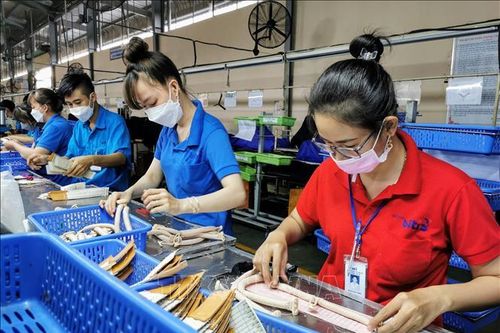 Phát triển nguồn nhân lực chất lượng cao trong kỷ nguyên mới