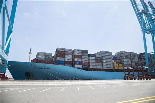 Chính sách thuế của Mỹ: Mexico hướng tới củng cố kinh tế toàn diện