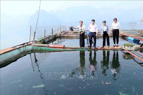Phụ nữ vùng cao Pá Ma Pha Khinh xóa đói giảm nghèo
