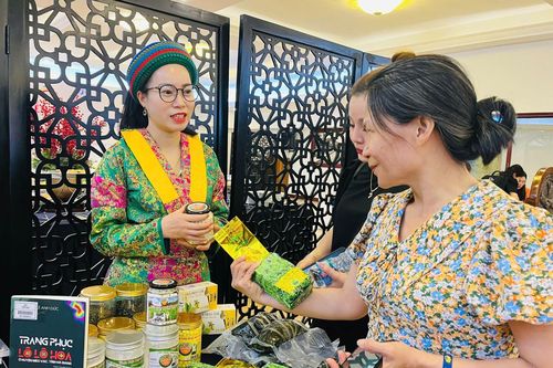 Hà Giang xúc tiến quảng bá du lịch tại TP Hồ Chí Minh